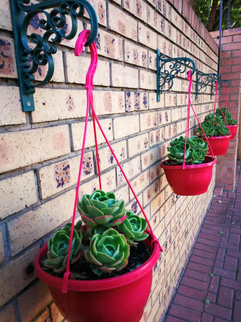Ridderspoor Guesthouse 미델뷔르흐 외부 사진
